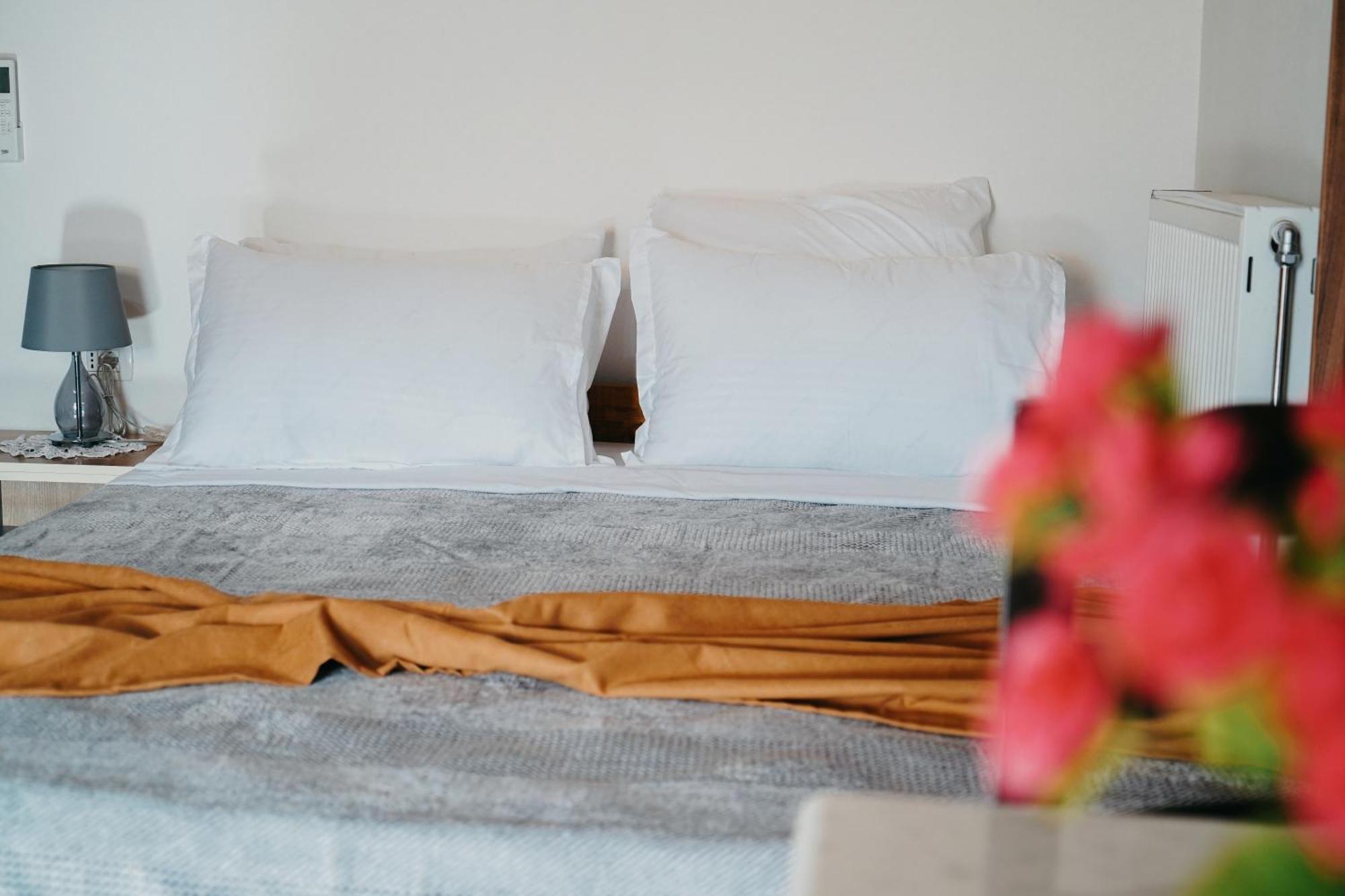 Bujtina Anlu Hotel Nepravishte Ngoại thất bức ảnh